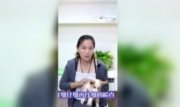 随风娱乐爆料,揭秘娱乐圈幕后故事